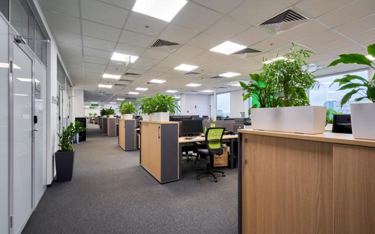 Общий вид этажа (open space)